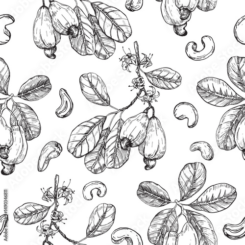 Cashew hand drawn ink vector seamless pattern. Whole nuts, fruit, branch, flowers and leaves. Template for label design