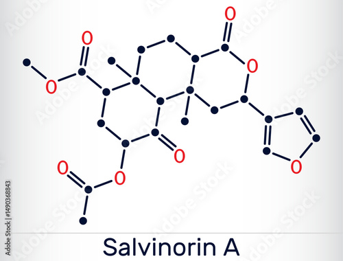 Salvinorin A molecule. Potent hallucinogenic compound from Salvia divinorum. Vector illustration