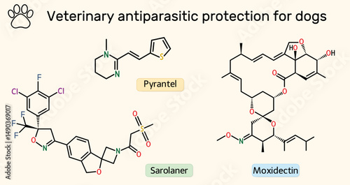 Veterinary antiparasitic drug molecules for dogs. Сhemical structures of sarolaner, pyrantel, moxidectin