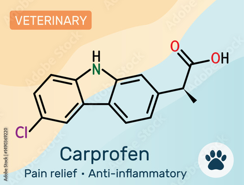 Carprofen NSAID molecule structure, nonsteroidal anti-inflammatory drug used as a veterinary medicine. Vector illustration