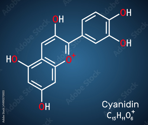 Cyanidin molecule. Cationic anthocyanidin pigment found in berries and plants. Structural chemical formula, dark blue background