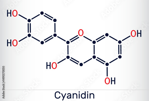 Cyanidin molecule. Cationic anthocyanidin pigment found in berries and plants. Vector illustration