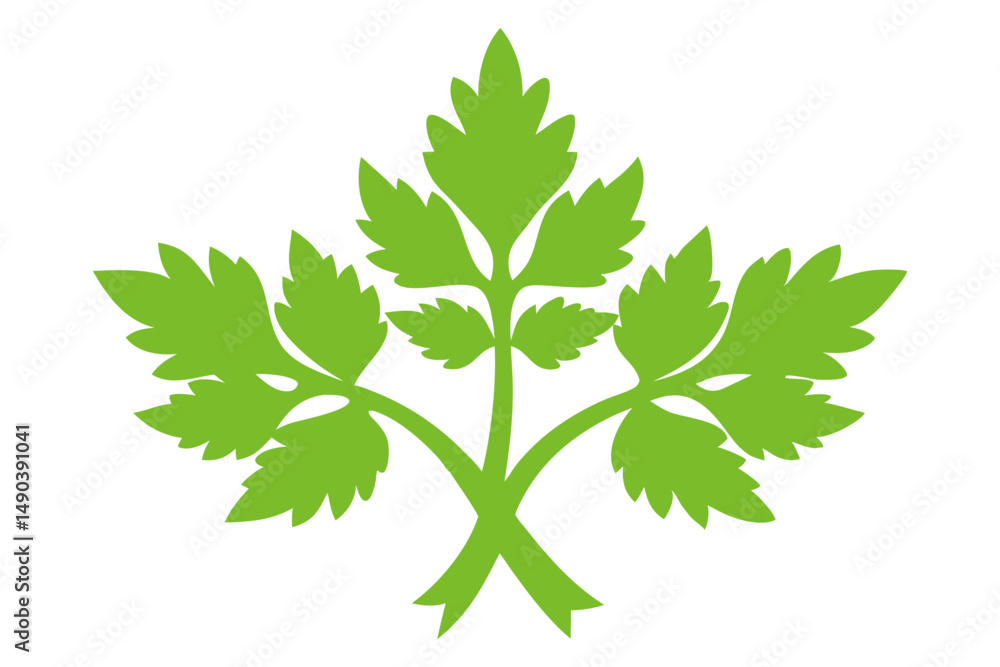 Parsley Karpas Vector Art Parsley Karpas Vector Art