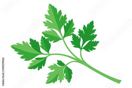 Seder Table Parsley Vector Art
