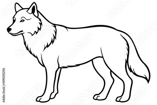 wolf silhouette line art vector illustration with a white background