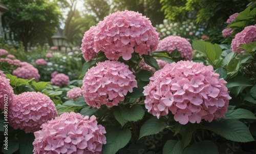 Large pink hydrangea, lush garden setting, charming decor, outdoor, floral, nature