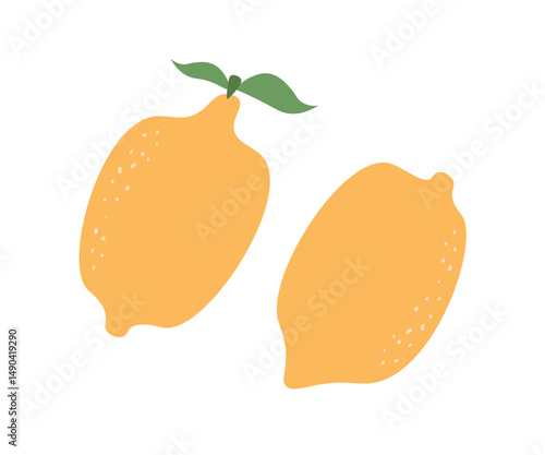 Fresh lemon fruit  vector set isolated on white background
