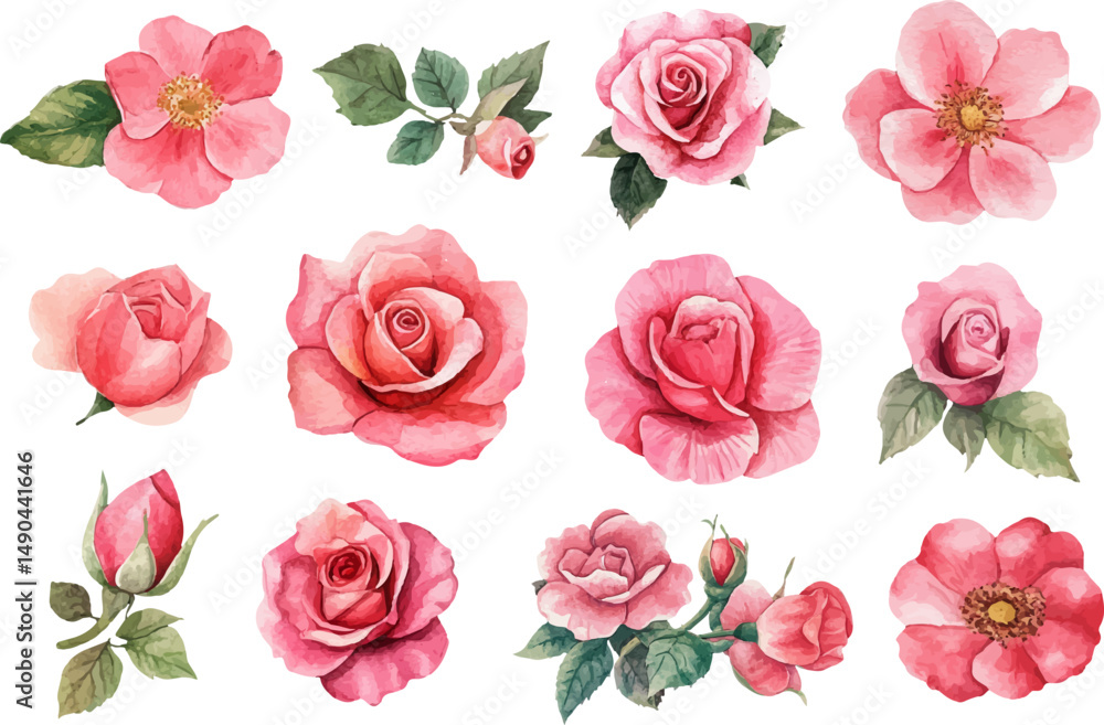 Fototapeta premium set of pink roses