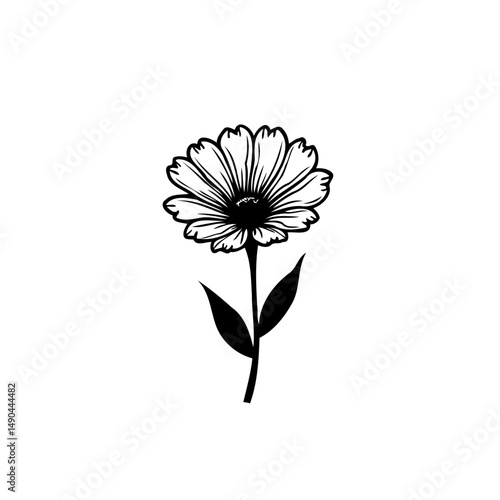 Minimalist floral illustration: A solitary bloom in stark monochrome beauty