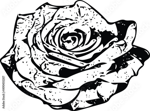 rose flower vector icon love valentine romance passion lust rosaceae line drawing