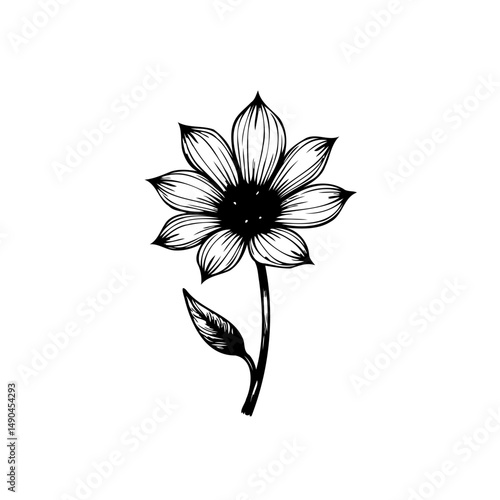 Elegant floral line drawing: A minimalist botanical illustration of a bloom