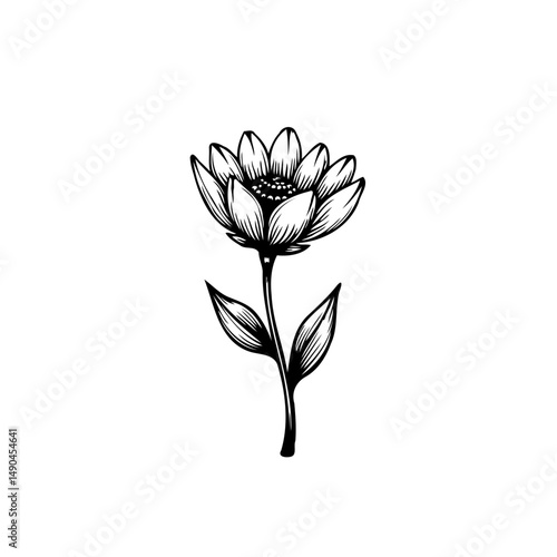 Elegant botanical drawing of a blooming flower in simplistic black and white design