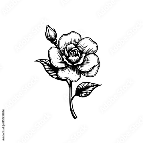 Elegant monochrome botanical drawing featuring blooming rose with a delicate bud