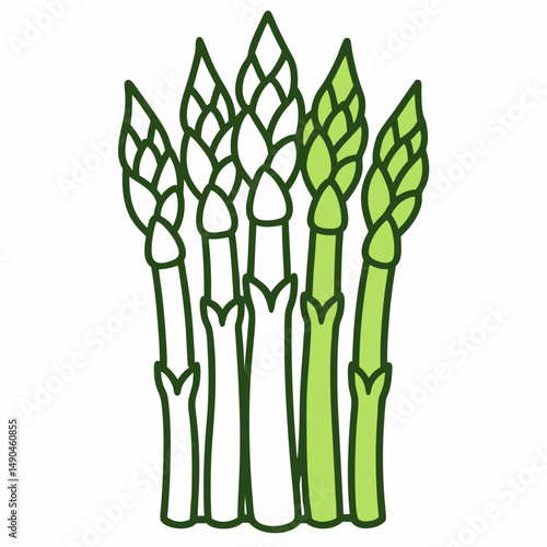 Asparagus outline icon on white background