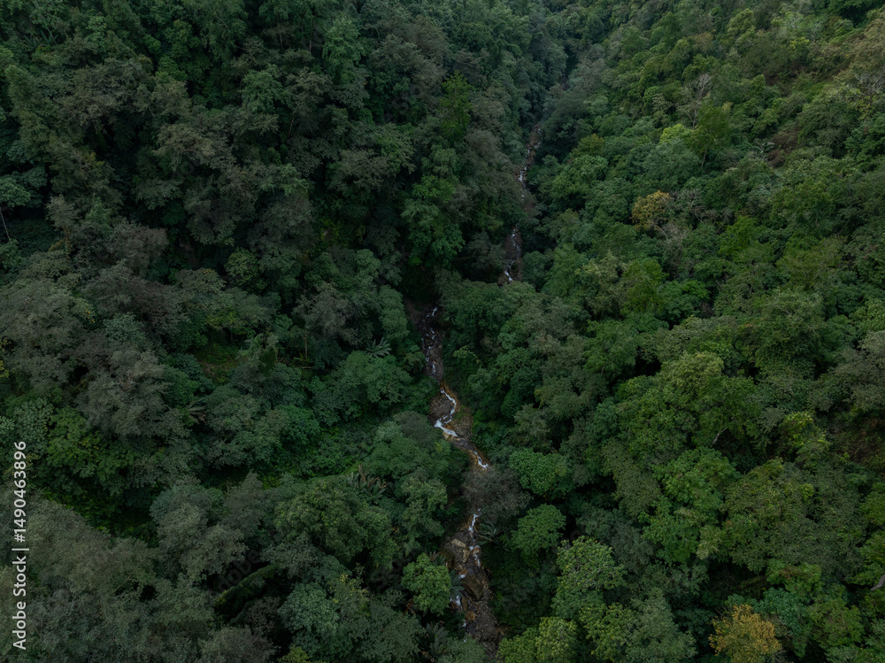 Obraz premium Aerial view of beautiful tropical forest mountain landscape in the Yalu Zangbu River valley area, Tibet,China