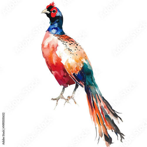 A hand-painted watercolor of a colorful pheasant standing still, isolated. Game bird illustration.

