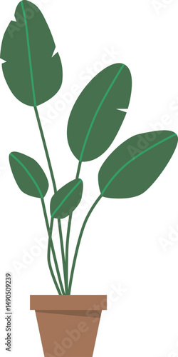 Potted home plant vector illustration