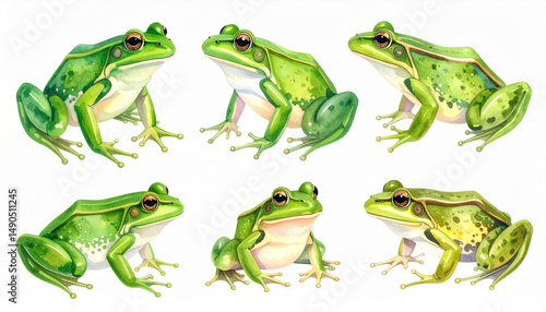 Green frog set, six watercolor illustrations of frogs with detailed skin texture and natural poses, isolated on white background, vibrant and lively amphibian artwork