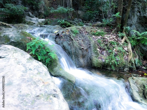 waterfall in the forest