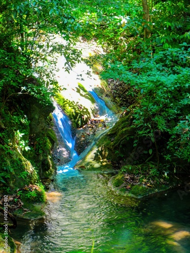 waterfall in the forest