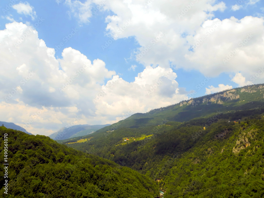 Fototapeta premium Explore Tara River Canyon in Montenegro for Breathtaking Views and Outdoor Adventures