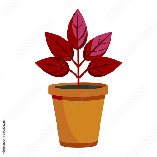 potted house plants, indoor plants,  garden plants  illustration