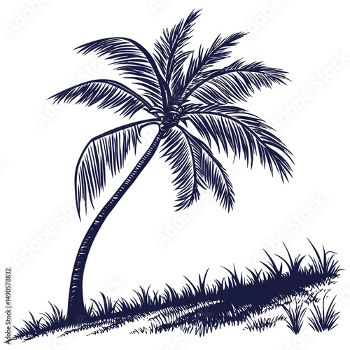Single palm tree silhouette tropical island scene