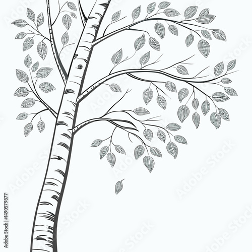 Elegant birch tree branch with detailed leaves