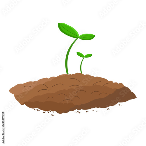 grow in fertile soil with compost