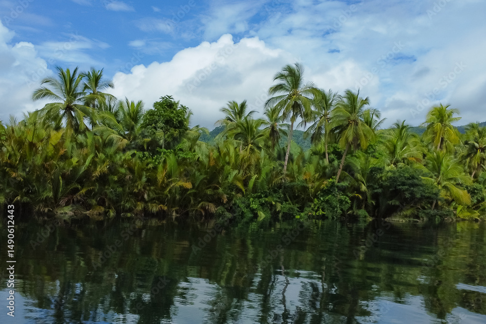 Obraz premium tropical river in jungle with palm trees on the shore against sky
