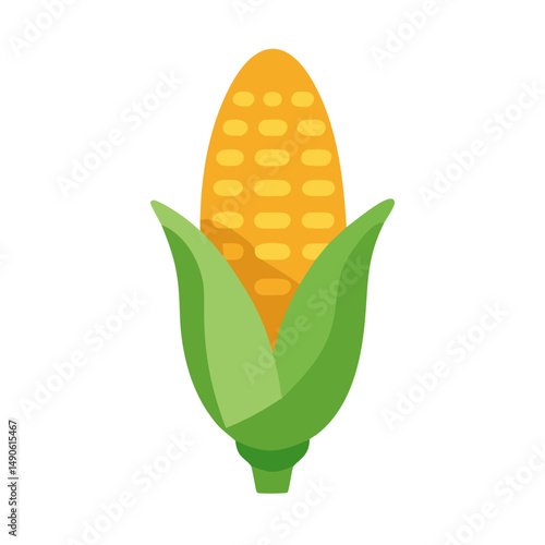 Fresh Corn on the Cob Illustration