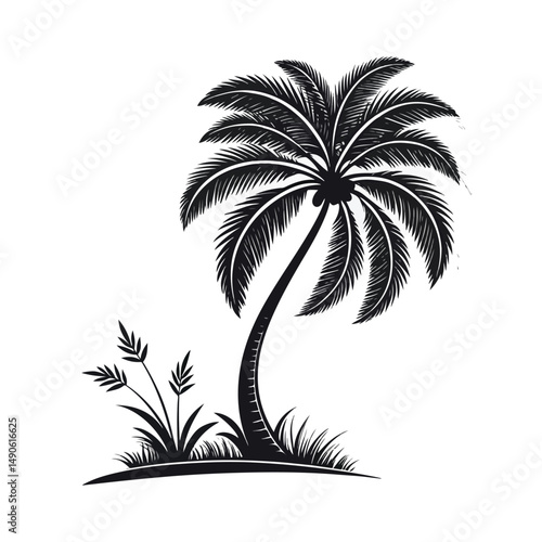 palm tree silhouettes