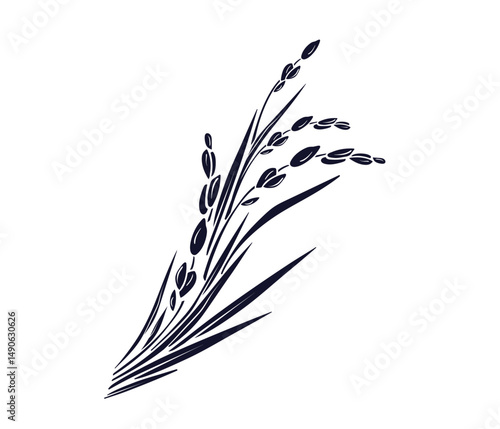Rice plant, raw long grains Vector isolate branch