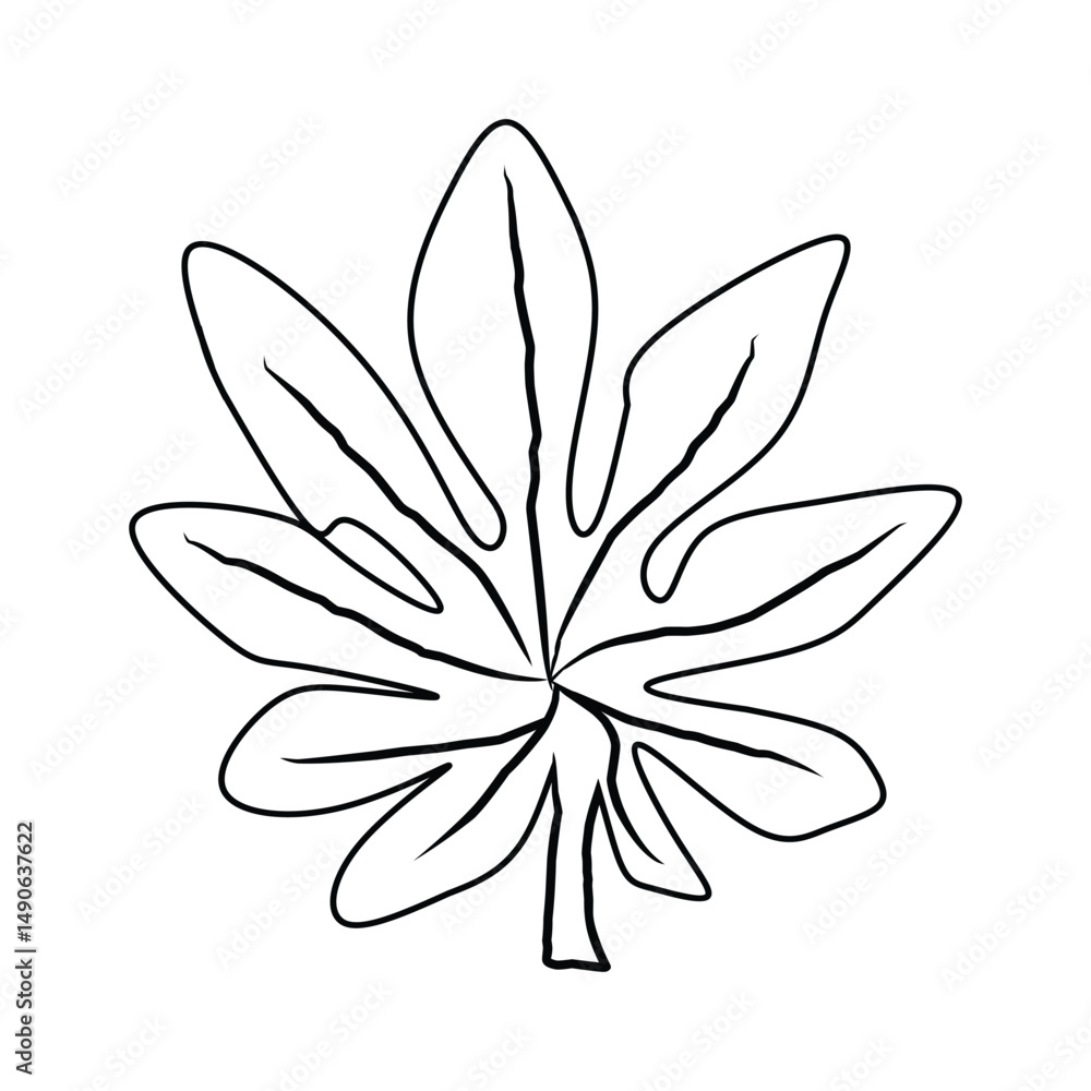 Obraz premium PrintPapaya leaf outline illustration. Tropical plant drawing.