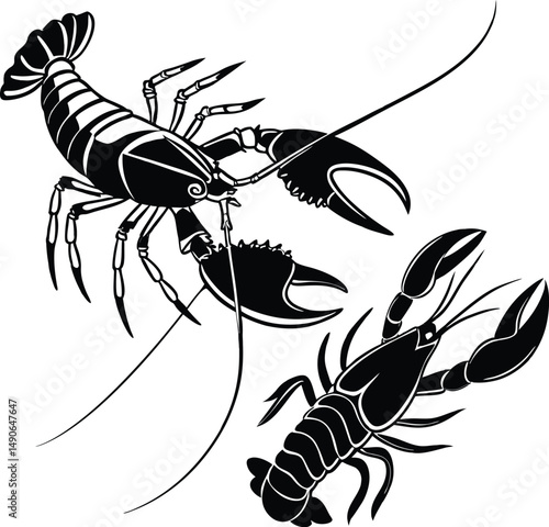 vector illustration of a lobster