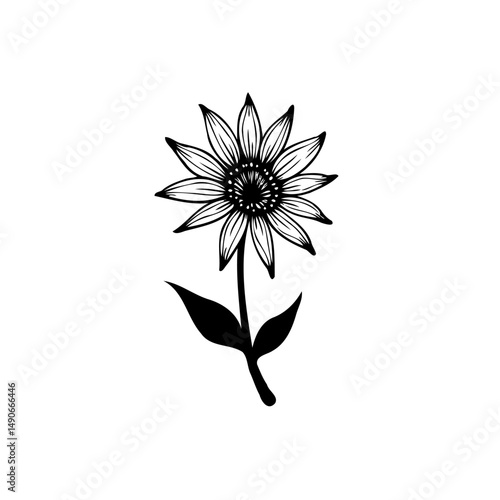 Wallpaper Mural Monochrome botanical illustration of a daisy flower with intricate details Torontodigital.ca
