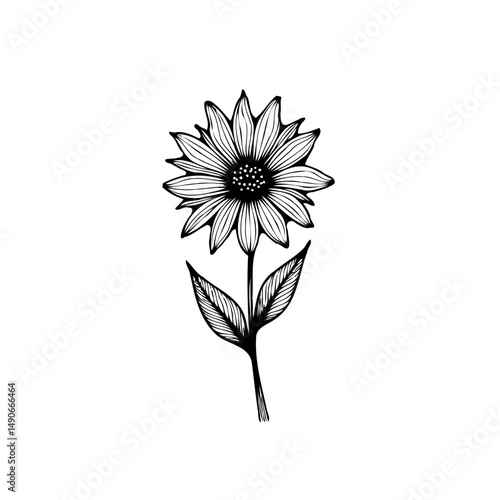 Elegant sunflower illustration in black and white showcasing delicate floral design