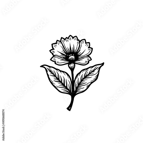 Detailed line drawing of a stylized flower with leaves, isolated illustration