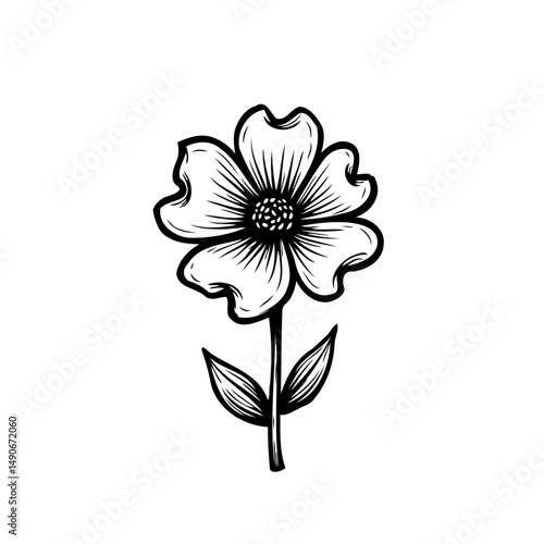 Elegant floral illustration, vintage style, captivating simplicity, botanical drawing