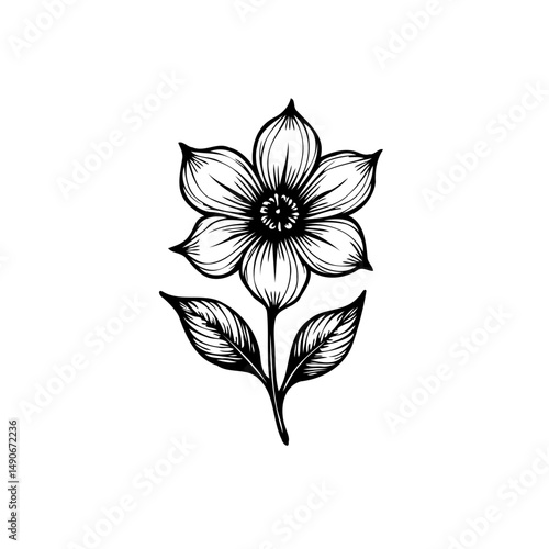 Elegant botanical illustration of a five-petal flower with detailed leaf accents