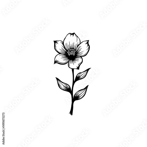 Elegant botanical illustration featuring a delicately rendered blooming flower
