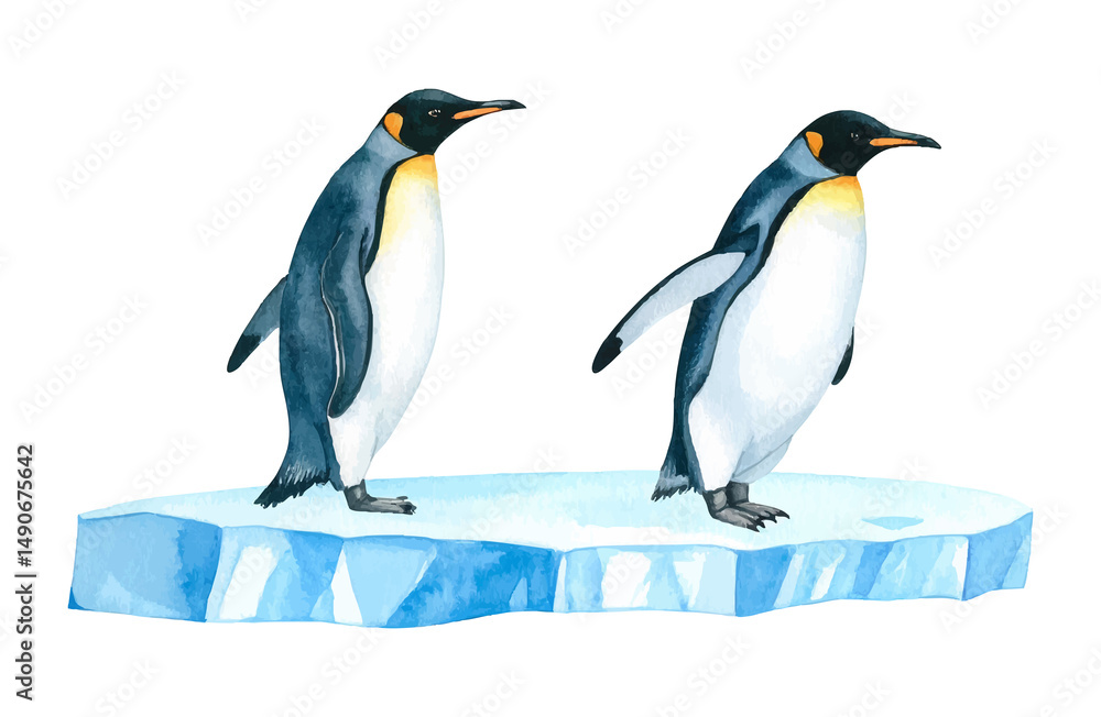 Fototapeta premium Pingwiny ilustracja