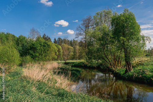 Sázava River Near Přibyslav on a Beautiful Spring Day