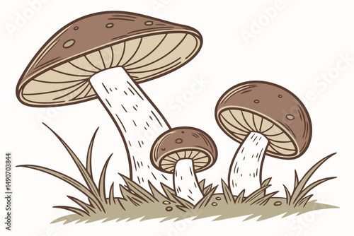 Forest Mushrooms Set – Hand-Drawn Vector Illustration