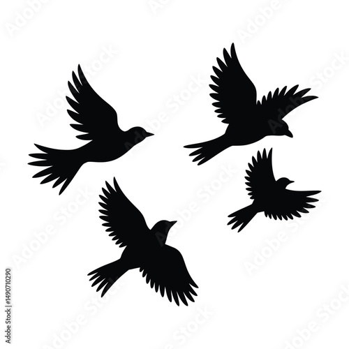 Silhouette of four birds in flight graphic element with spread wings design isolated on white