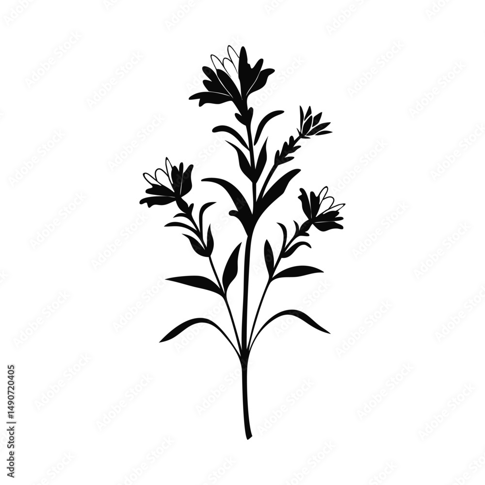 Naklejka premium Wild Flower of old Diary-12