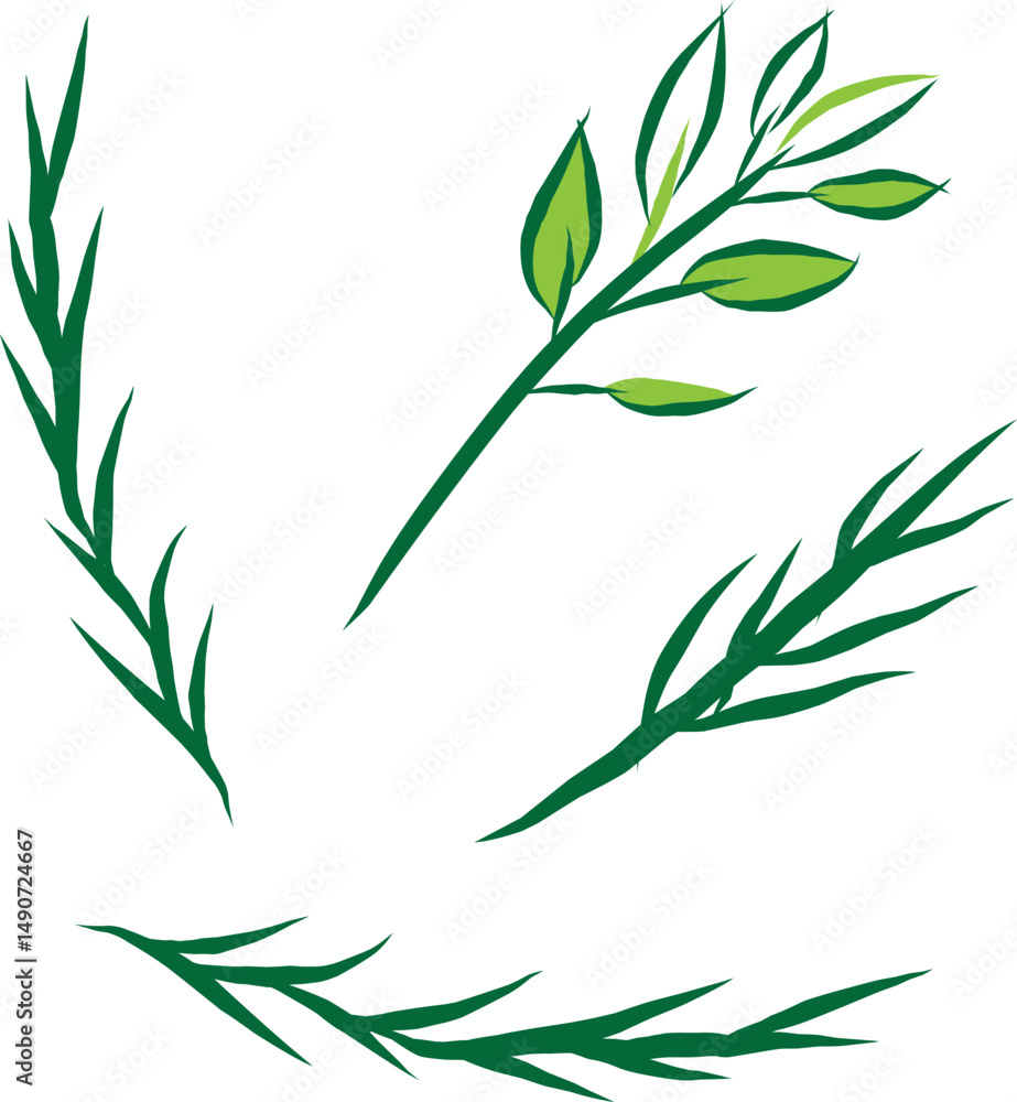 Fototapeta premium Tarragon sprigs illustration. Culinary herb design elements.