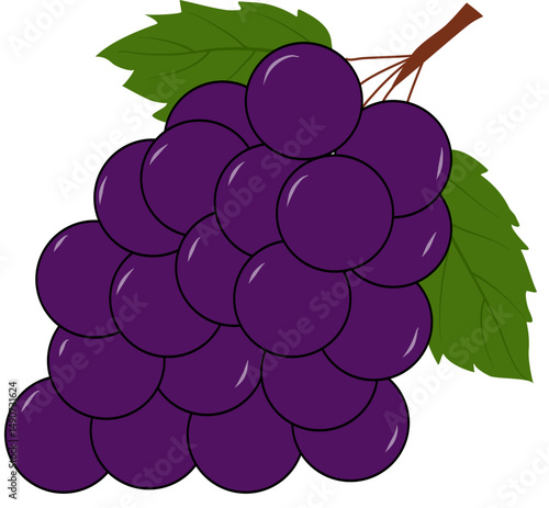 Lush Purple Grapes with Vibrant Green Leaves