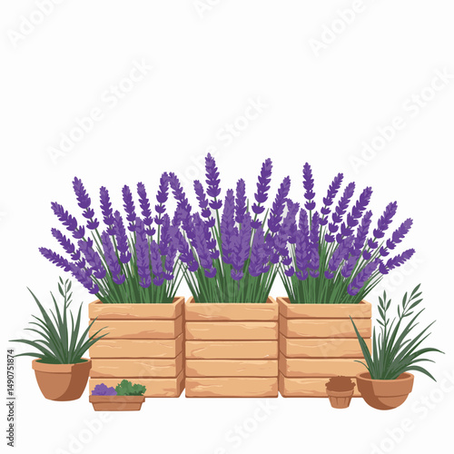 Lavender market stand featuring fresh blooms, nature's tranquility