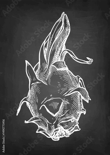 Dragon fruit chalk sketch.